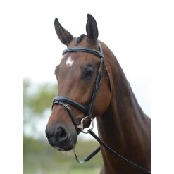Kincade Flash Bridle II