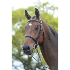 Kincade Raised Cavesson Bridle II