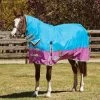 Weatherbeeta Comfitec Classic Turnout Rug With Fixed Neck, 0g