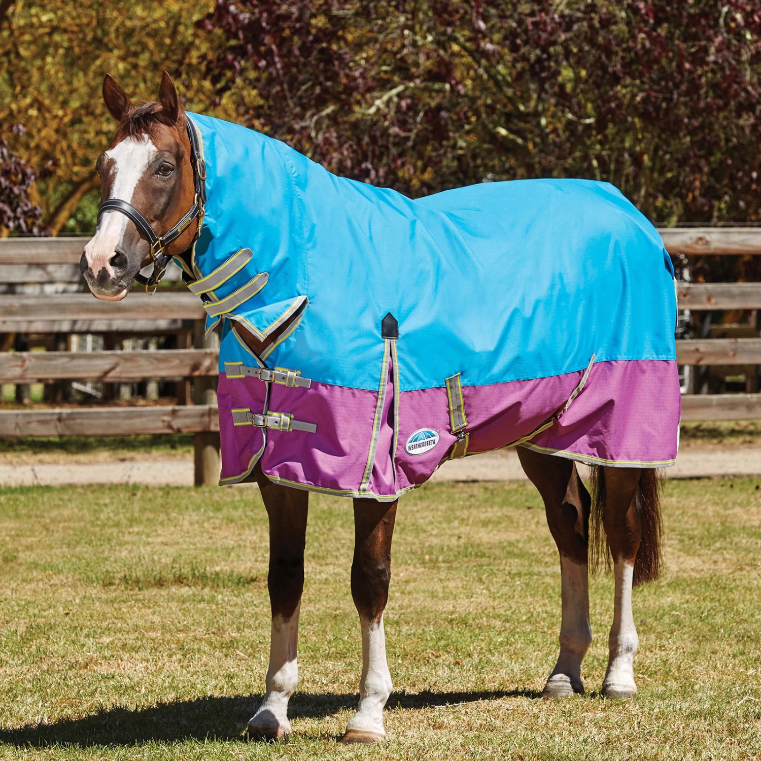 Weatherbeeta Comfitec Classic Turnout Rug With Fixed Neck, 0g