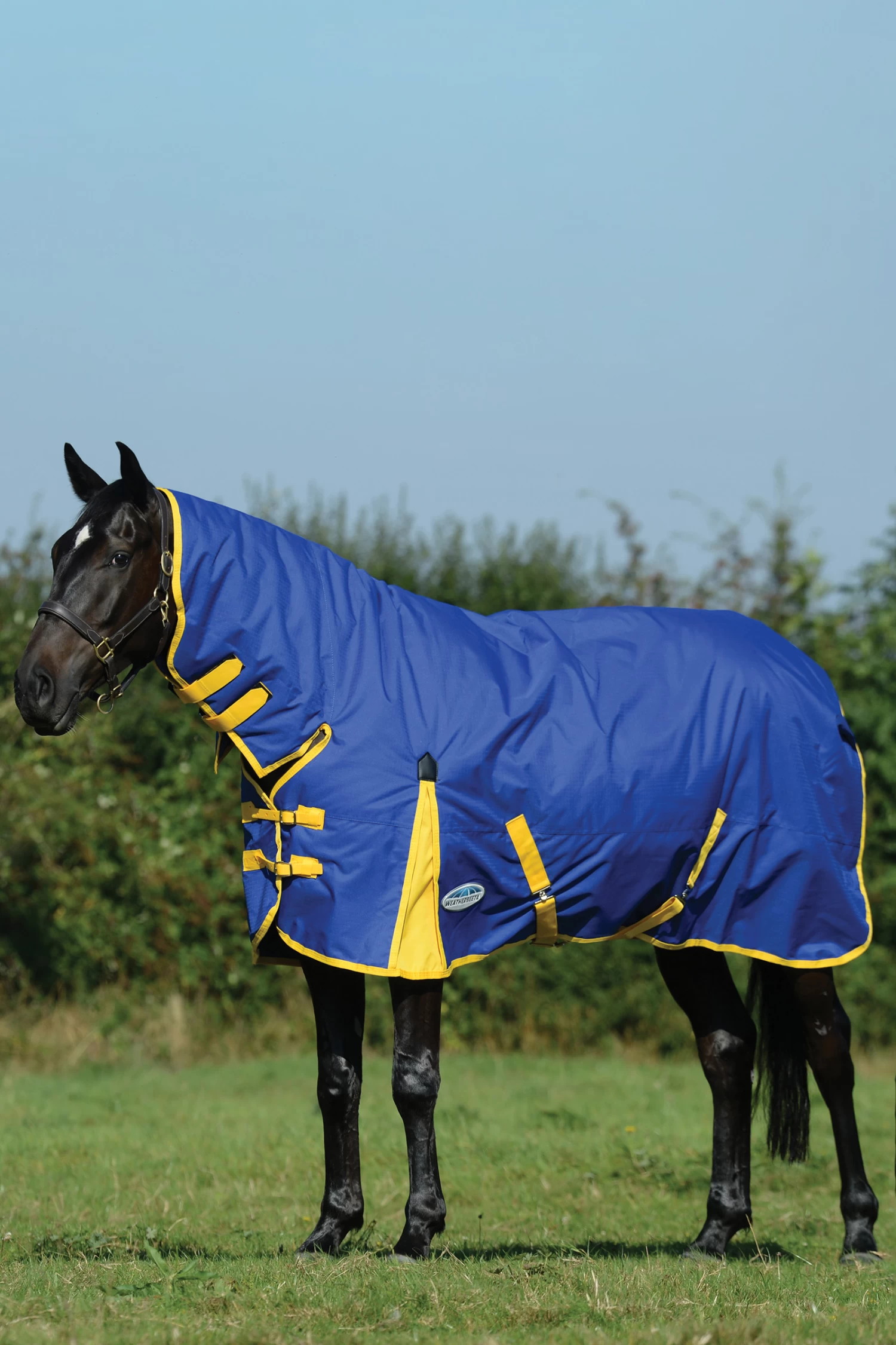 Weatherbeeta Comfitec Classic Turnout Rug With Fixed Neck, 0g - Image 5