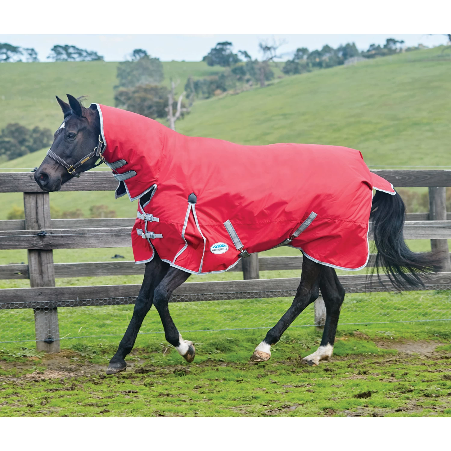 Weatherbeeta Comfitec Classic Turnout Rug With Fixed Neck, 0g - Image 3