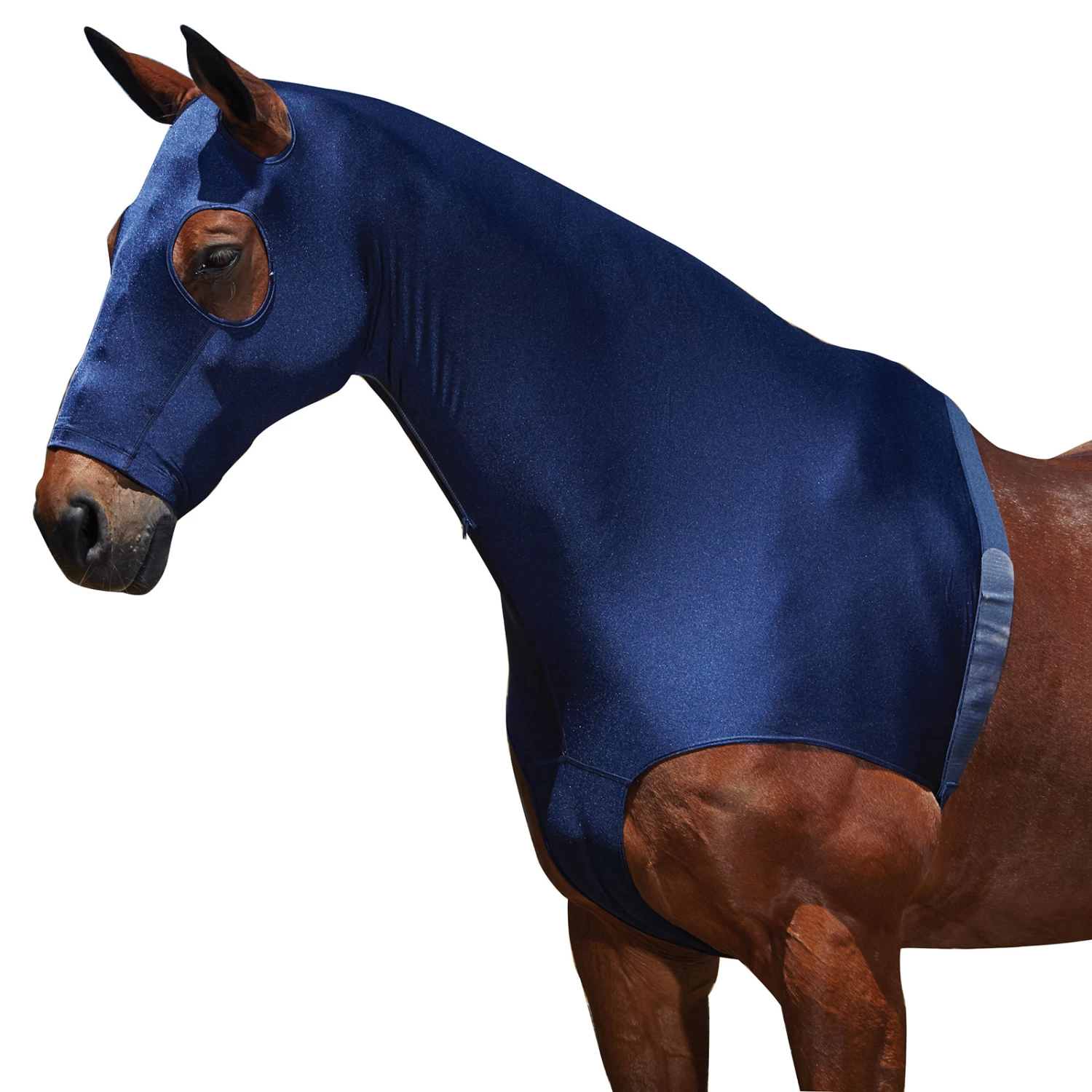 Weatherbeeta Stretch Hood With Zip