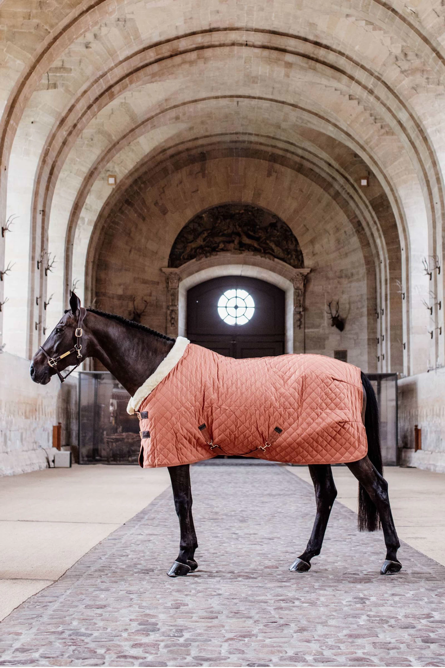 Kentucky Horsewear Show Rug, 160g - Image 9