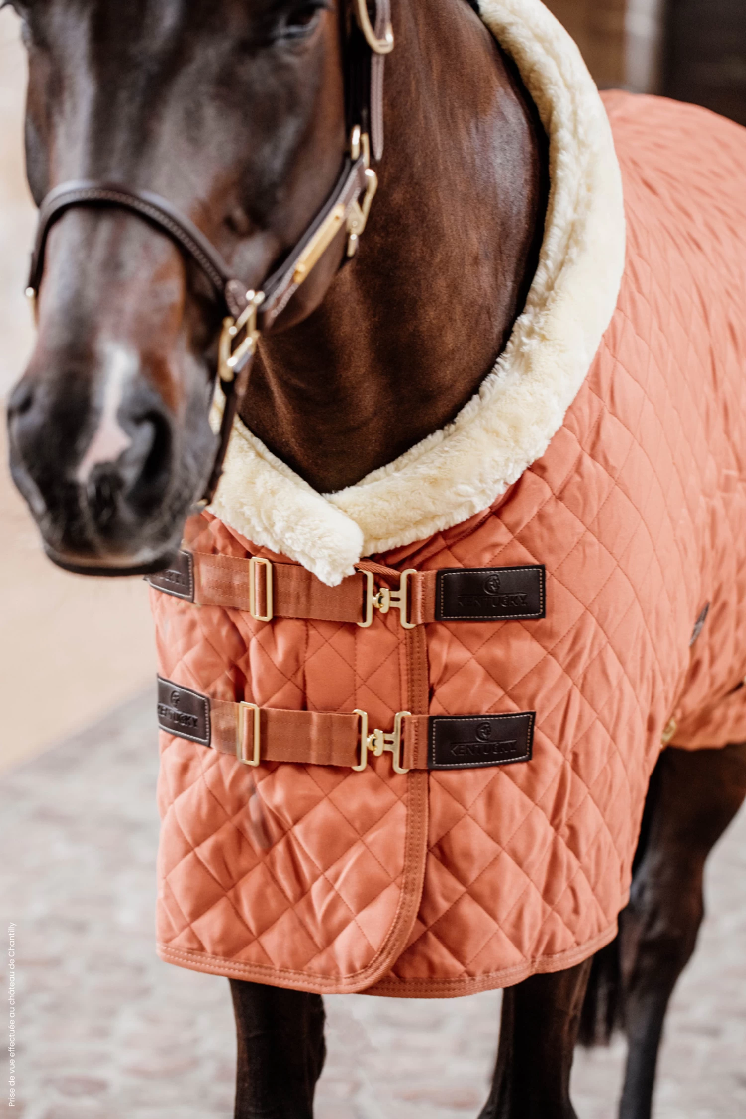 Kentucky Horsewear Show Rug, 160g - Image 10