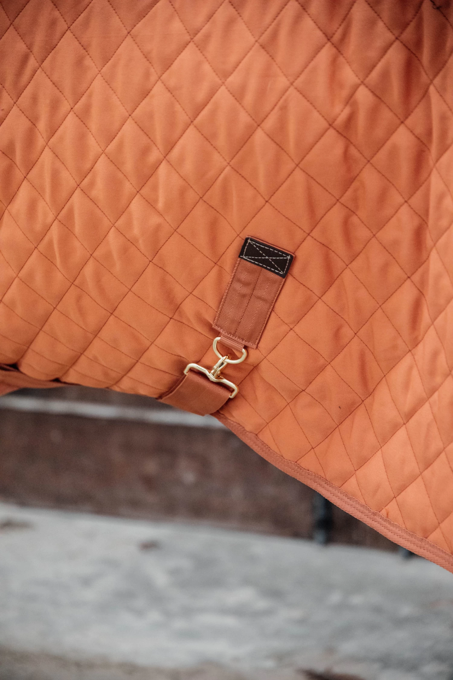 Kentucky Horsewear Show Rug, 160g - Image 11