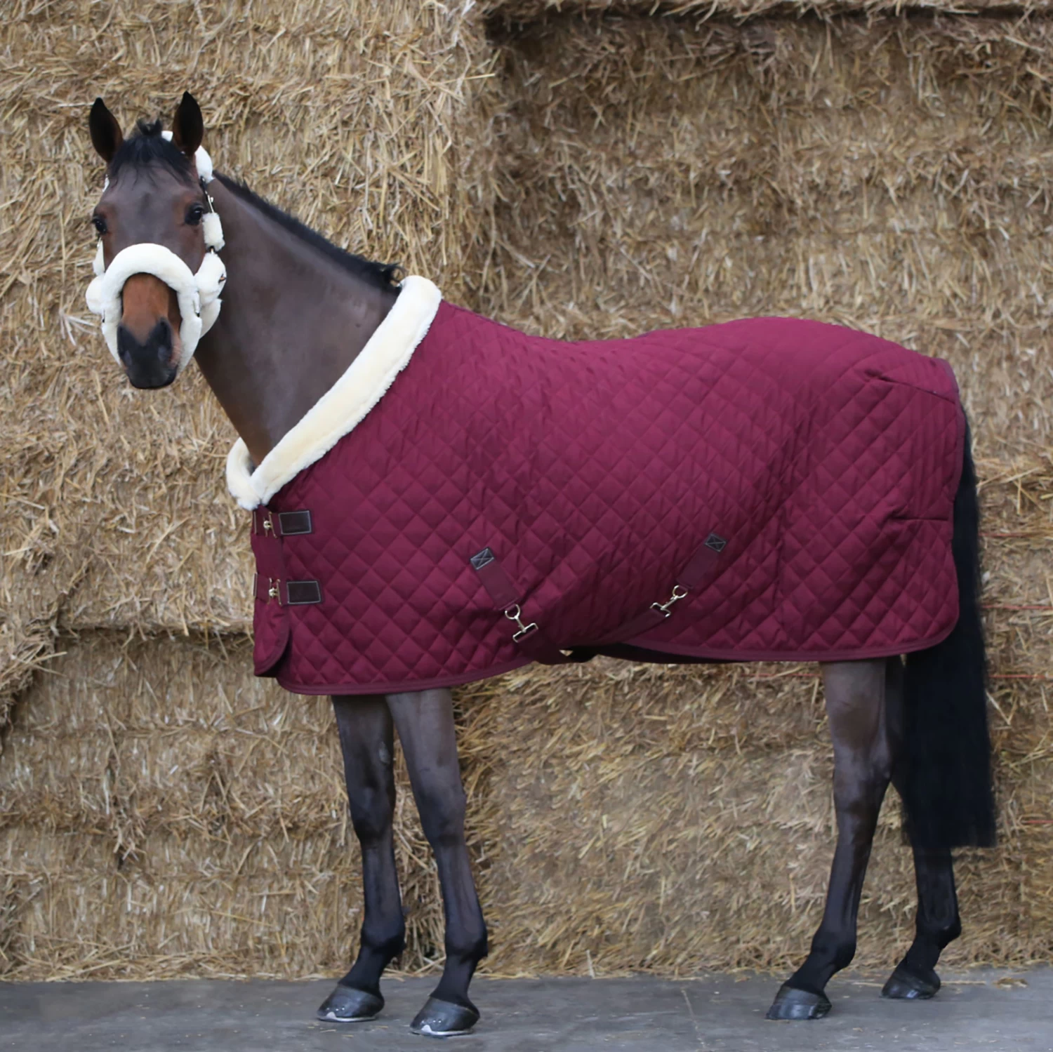 Kentucky Horsewear Show Rug, 160g - Image 5