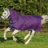 Horseware Amigo Bravo 12 Pony Turnout Rug Incl. Detachable Hood, 0g