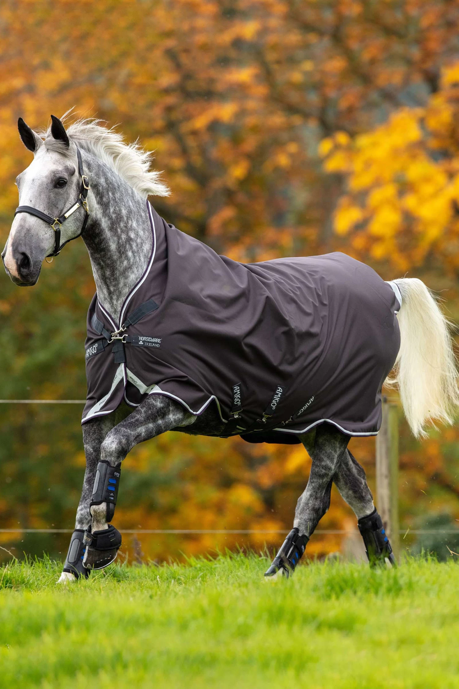 Horseware Amigo Bravo 12 Turnout Rug With High Neck - Image 2