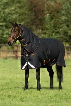Horseware Amigo Bravo 12 Plus Turnout Rug With Detachable Neck, 250g