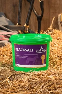 Global Herbs Black Salt 2kg