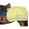 Jacson Neon Riding Rug II