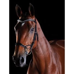 Collegiate ComFiTec Patent Bridle