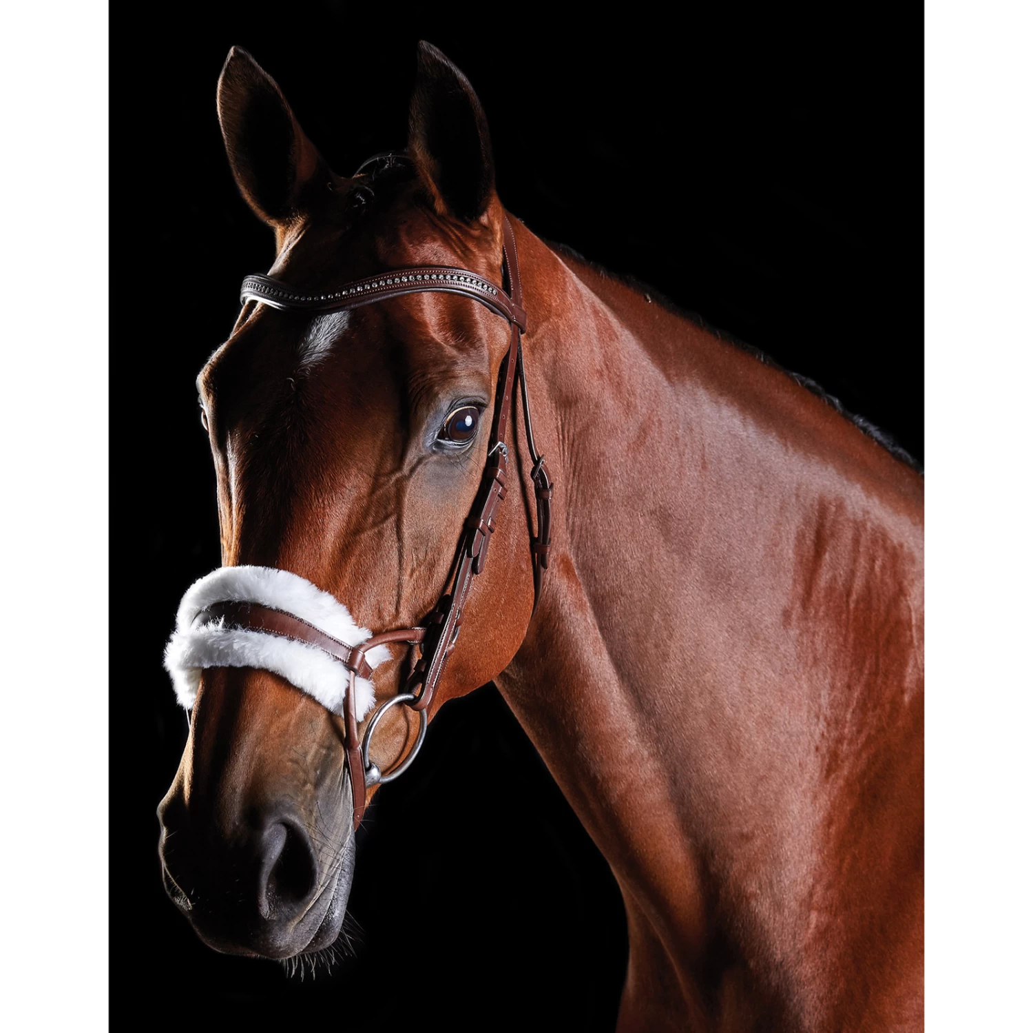 Collegiate ComFiTec Sheepskin Bridle - Image 4