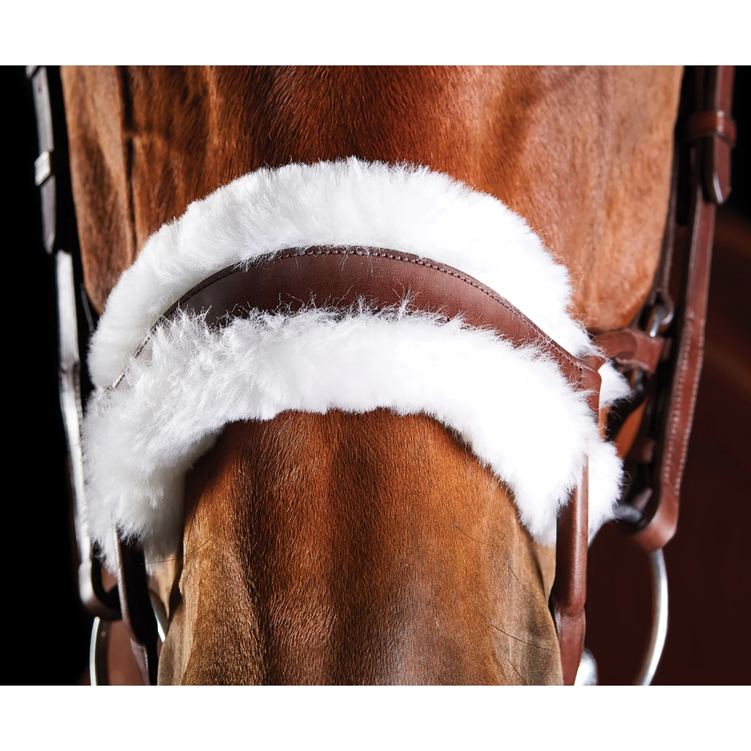 Collegiate ComFiTec Sheepskin Bridle - Image 6