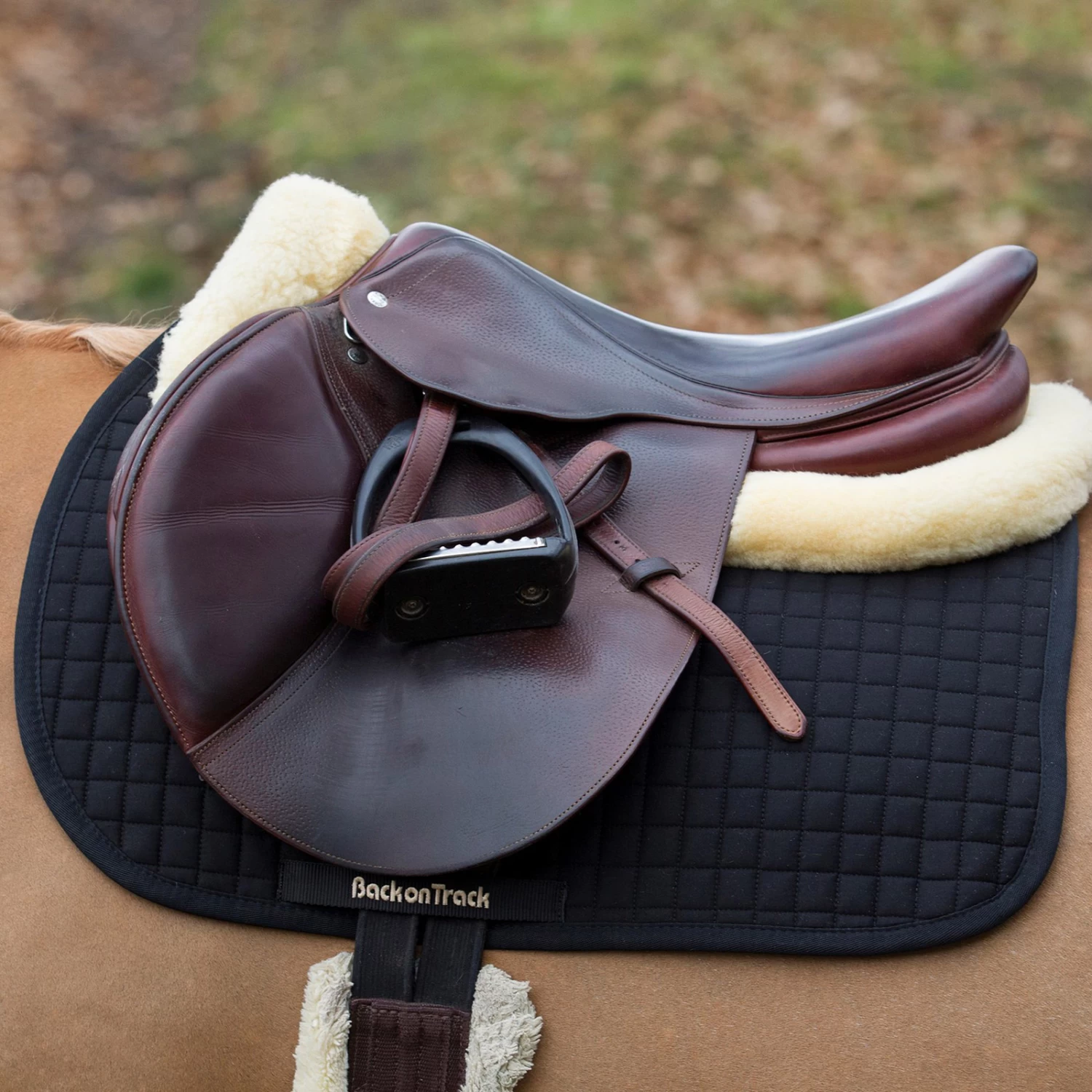 Back On Track Saddle Pad Jumping, No. 1 - Image 2