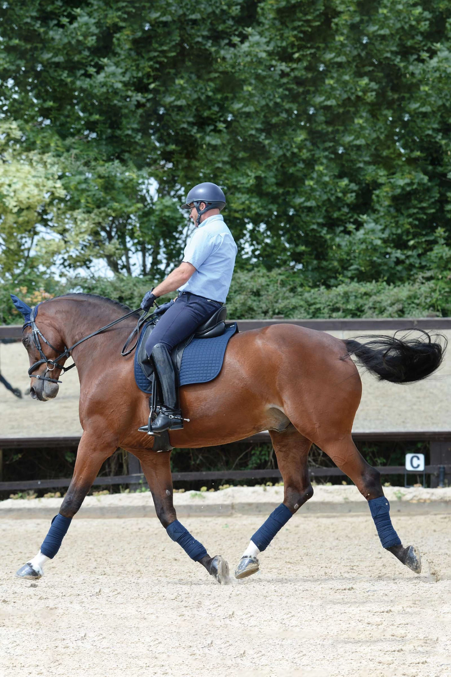 Weatherbeeta Prime Dressage Saddle Pad - Image 2