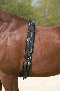 Kieffer Lunging Girth