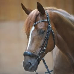 Kavalkade Isabella Bridle With Drop Noseband
