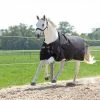 Kavalkade Turnout Rug Alaska IV Fleece