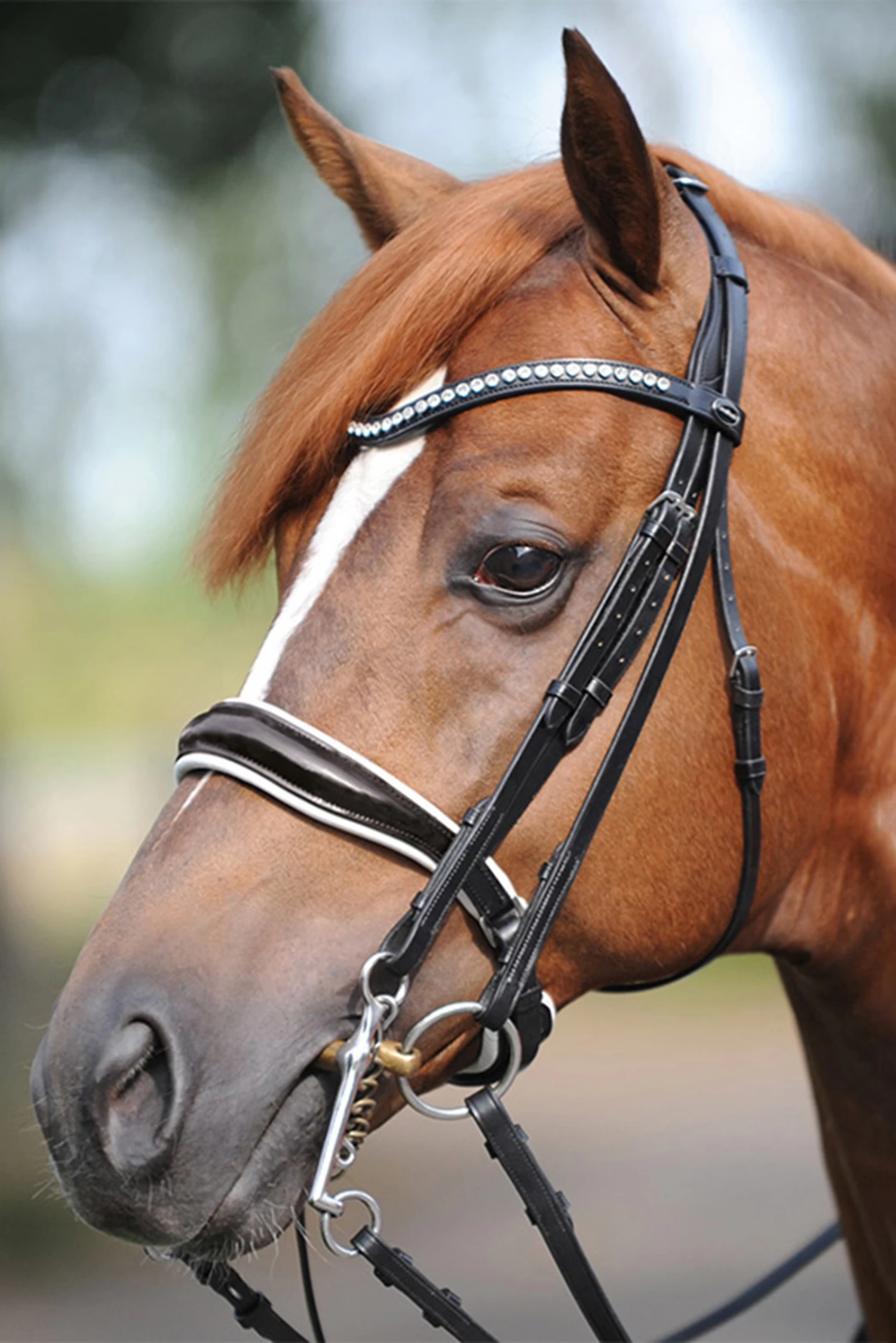 Kavalkade Weymouth Bridle Antonia, Crank Noseband - Image 2