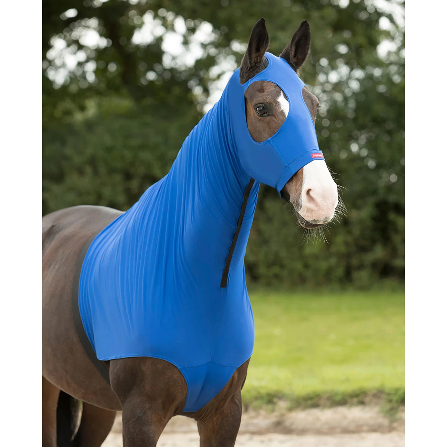 LeMieux Lycra Hoods