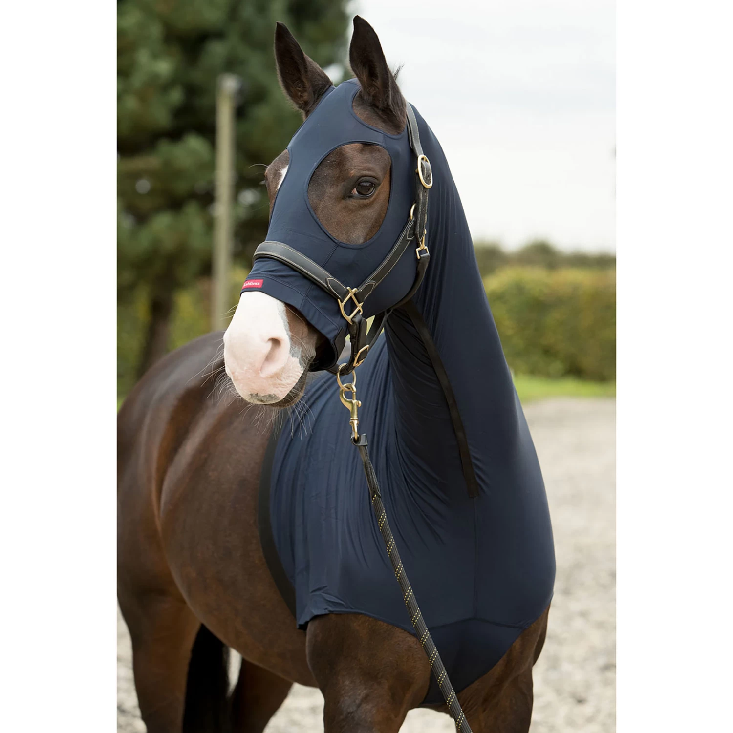 LeMieux Lycra Hoods - Image 5