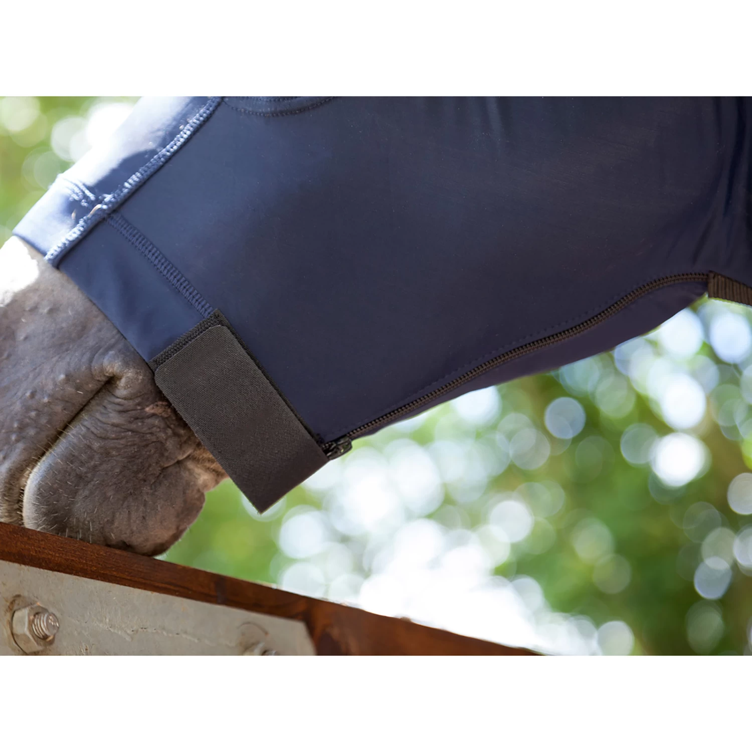 LeMieux Lycra Hoods - Image 6