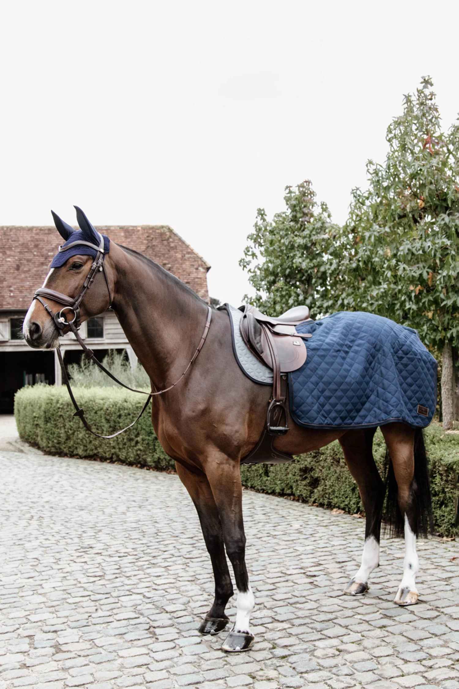 Kentucky Horsewear Quarter Rug, 160g - Image 3