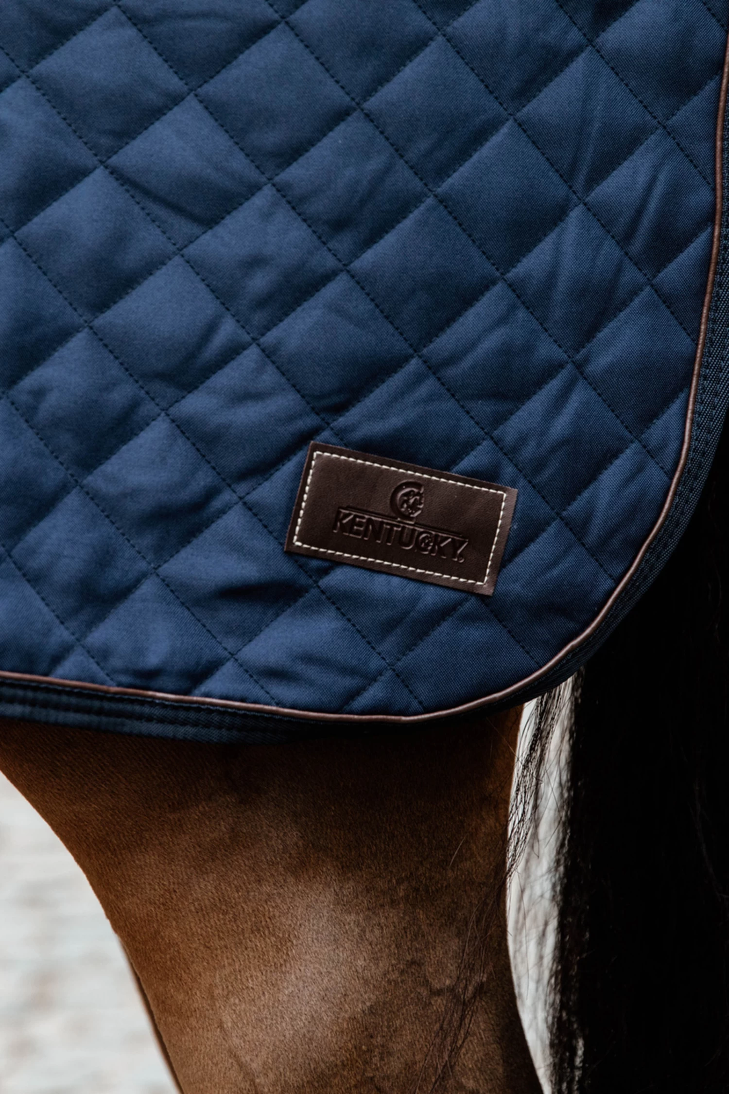 Kentucky Horsewear Quarter Rug, 160g - Image 4