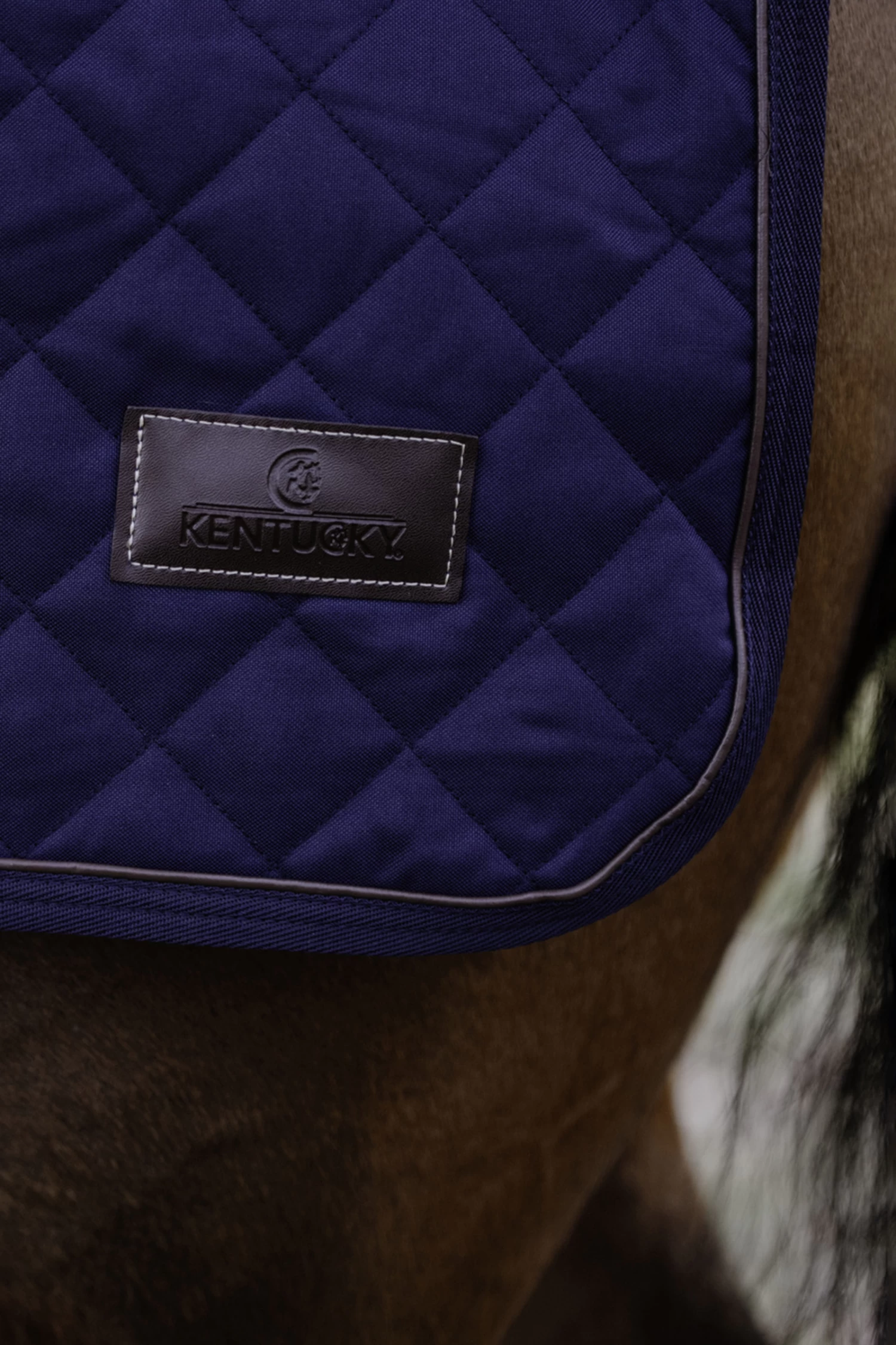 Kentucky Horsewear Riding Rug, 160g - Image 6