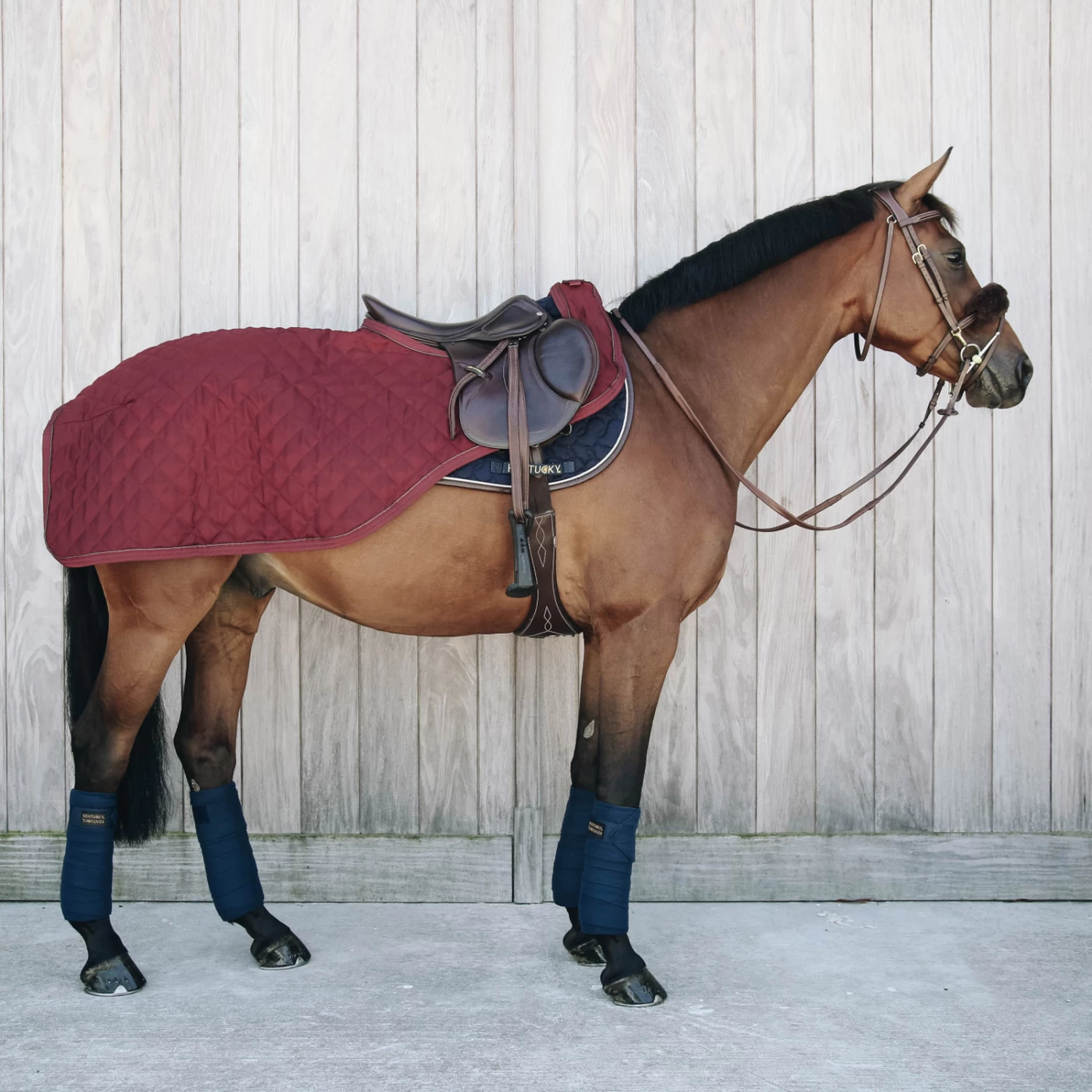 Kentucky Horsewear Riding Rug, 160g - Image 8