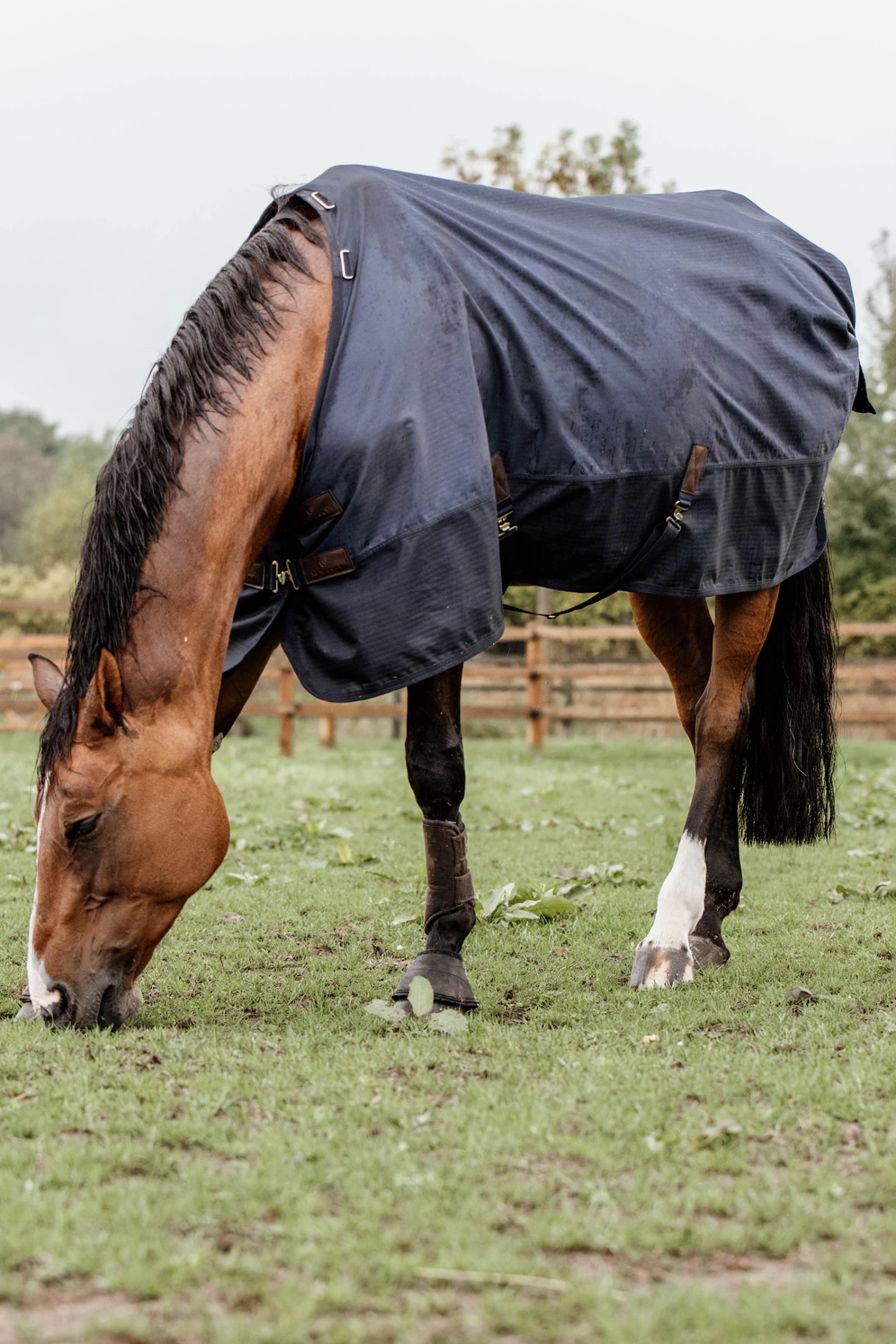 Kentucky Horsewear Turnout Rug All Weather, 300g - Image 2