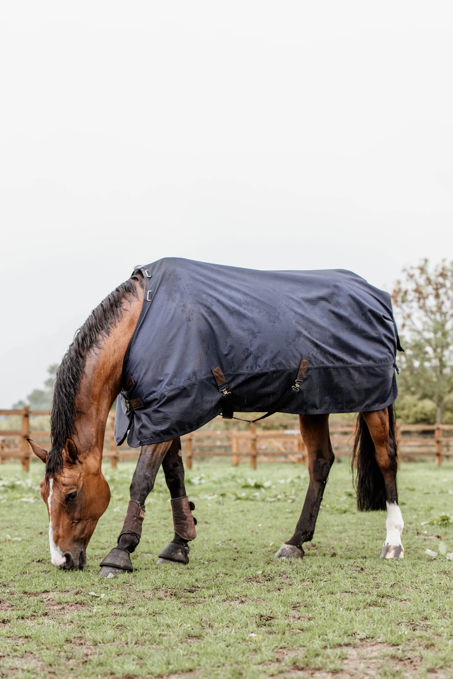 Kentucky Horsewear Turnout Rug All Weather, 300g - Image 3