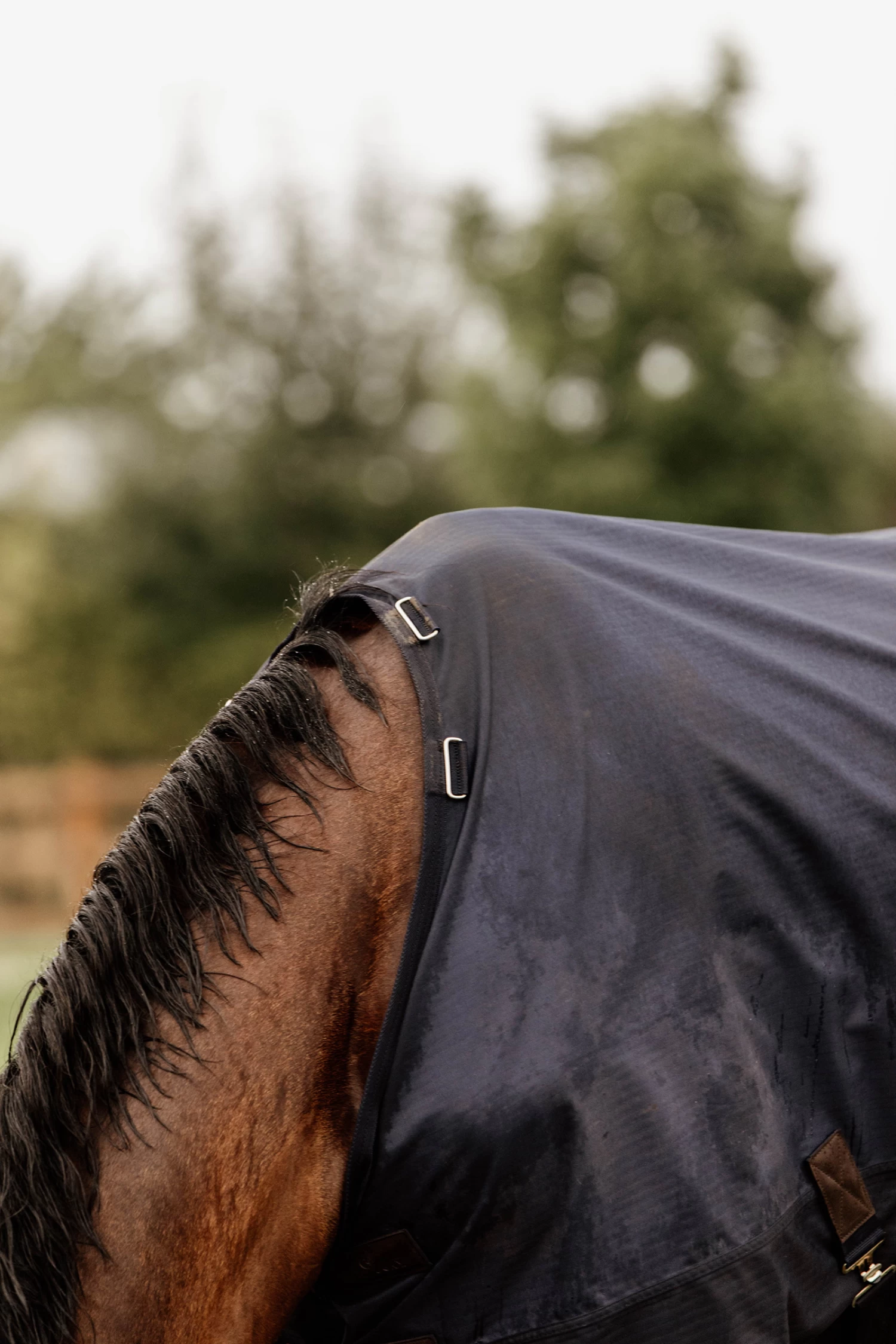 Kentucky Horsewear Turnout Rug All Weather, 300g - Image 5