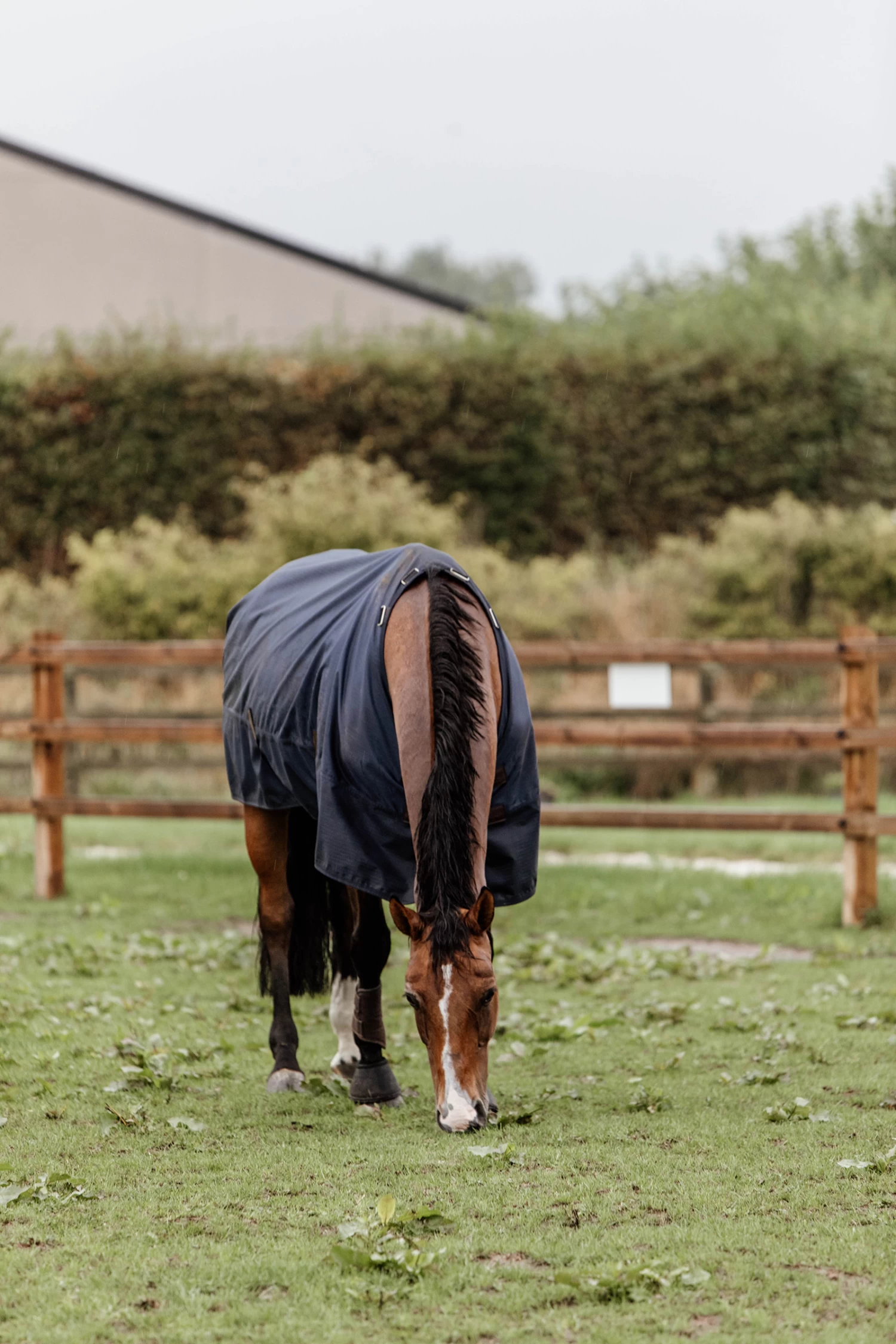 Kentucky Horsewear Turnout Rug All Weather, 300g - Image 9