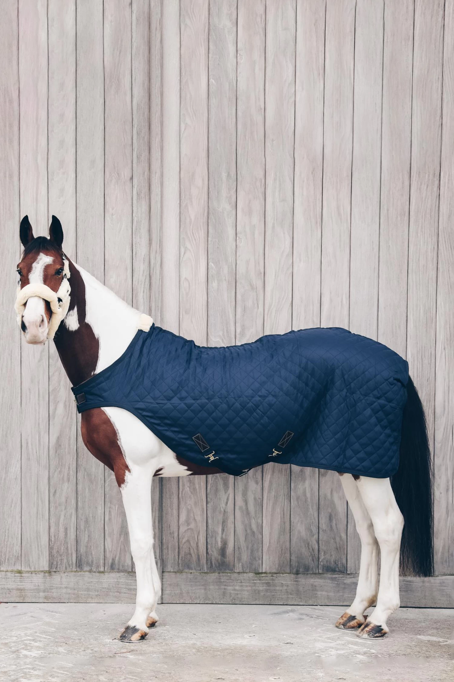 Kentucky Horsewear Walker Rug, 160g
