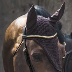 Jacson Browband Cambridge