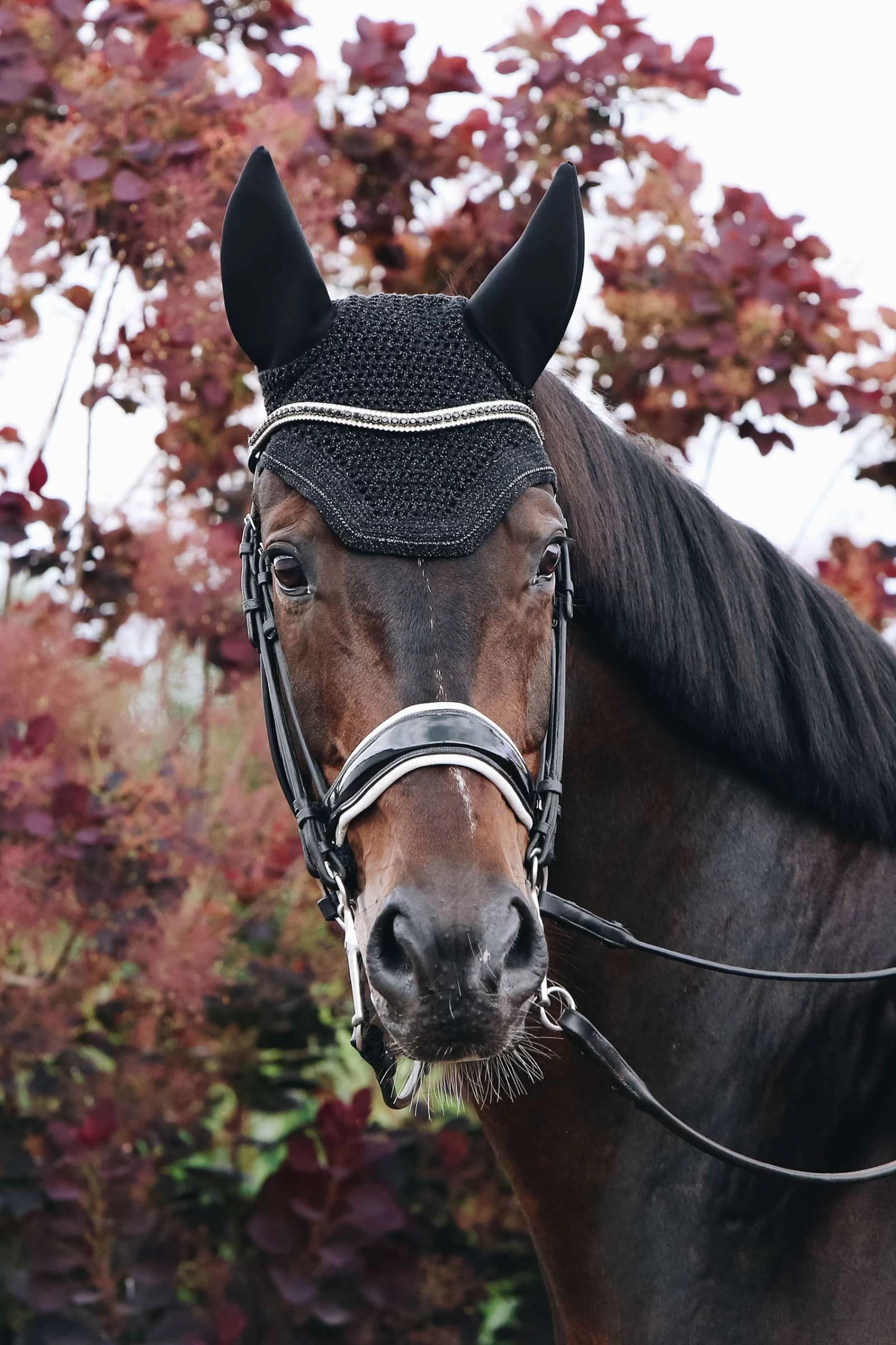Kentucky Horsewear Wellington Sparkling Fly Veil - Image 3