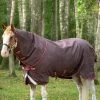 Horseware Amigo Bravo 12 Plus Turnout Rug With Detachable Neck, 100g