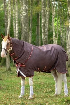 Horseware Amigo Bravo 12 Plus Turnout Rug With Detachable Neck, 100g