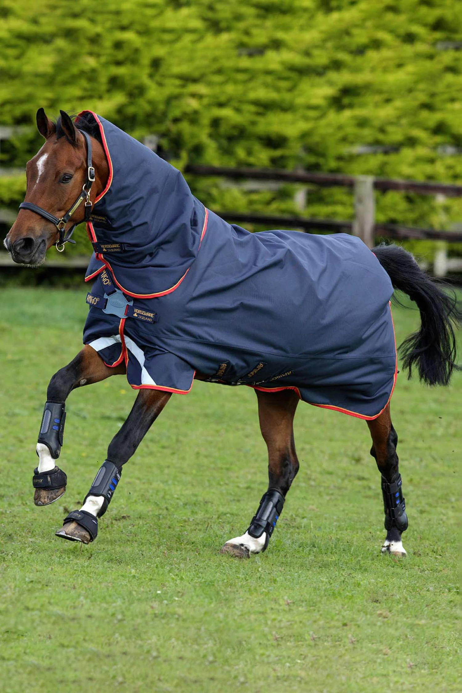 Horseware Amigo Bravo 12 Plus Turnout Rug With Detachable Neck, 100g - Image 2