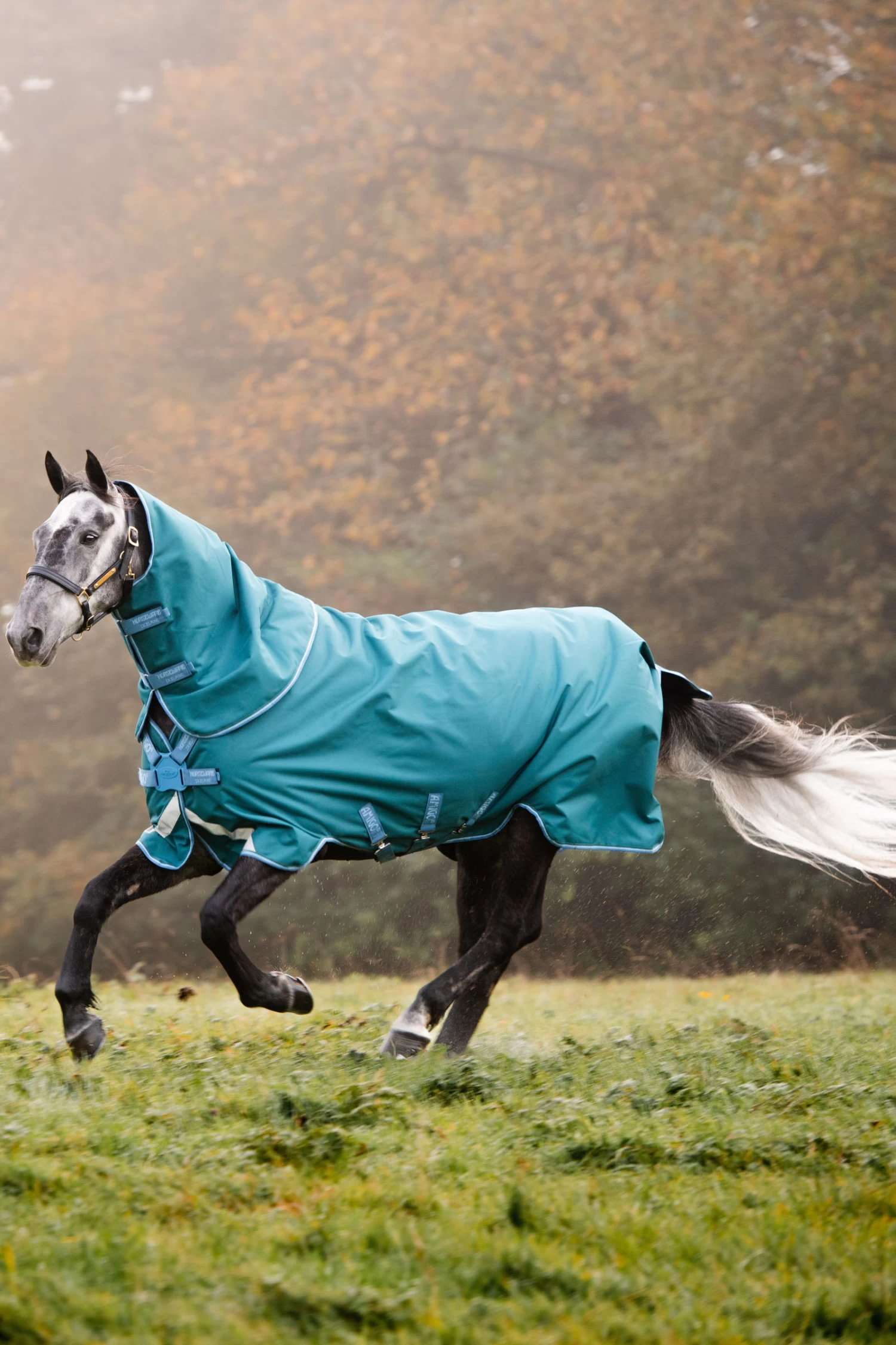 Horseware Amigo Bravo 12 Plus Turnout Rug With Detachable Neck, 100g - Image 3
