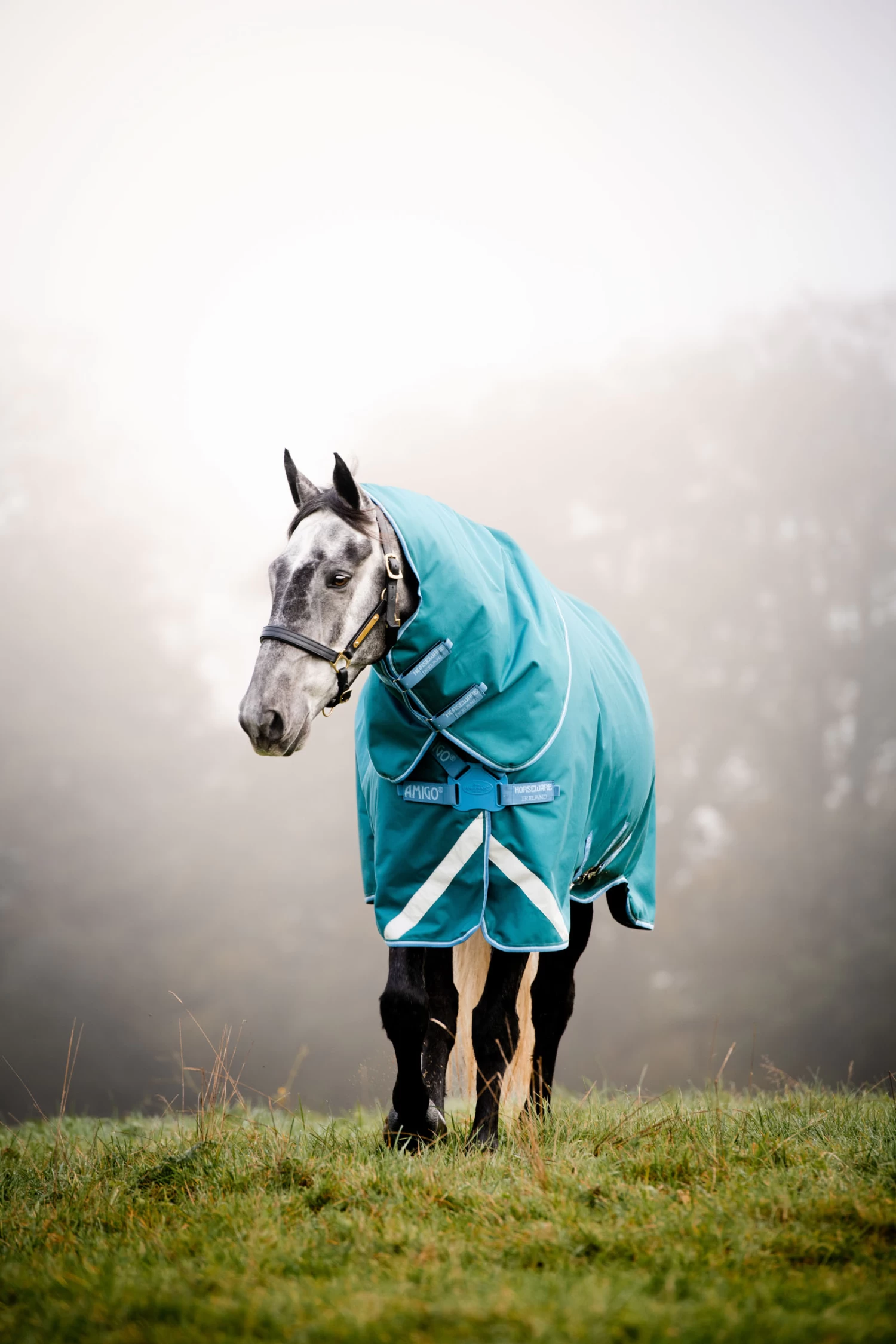 Horseware Amigo Bravo 12 Plus Turnout Rug With Detachable Neck, 100g - Image 4