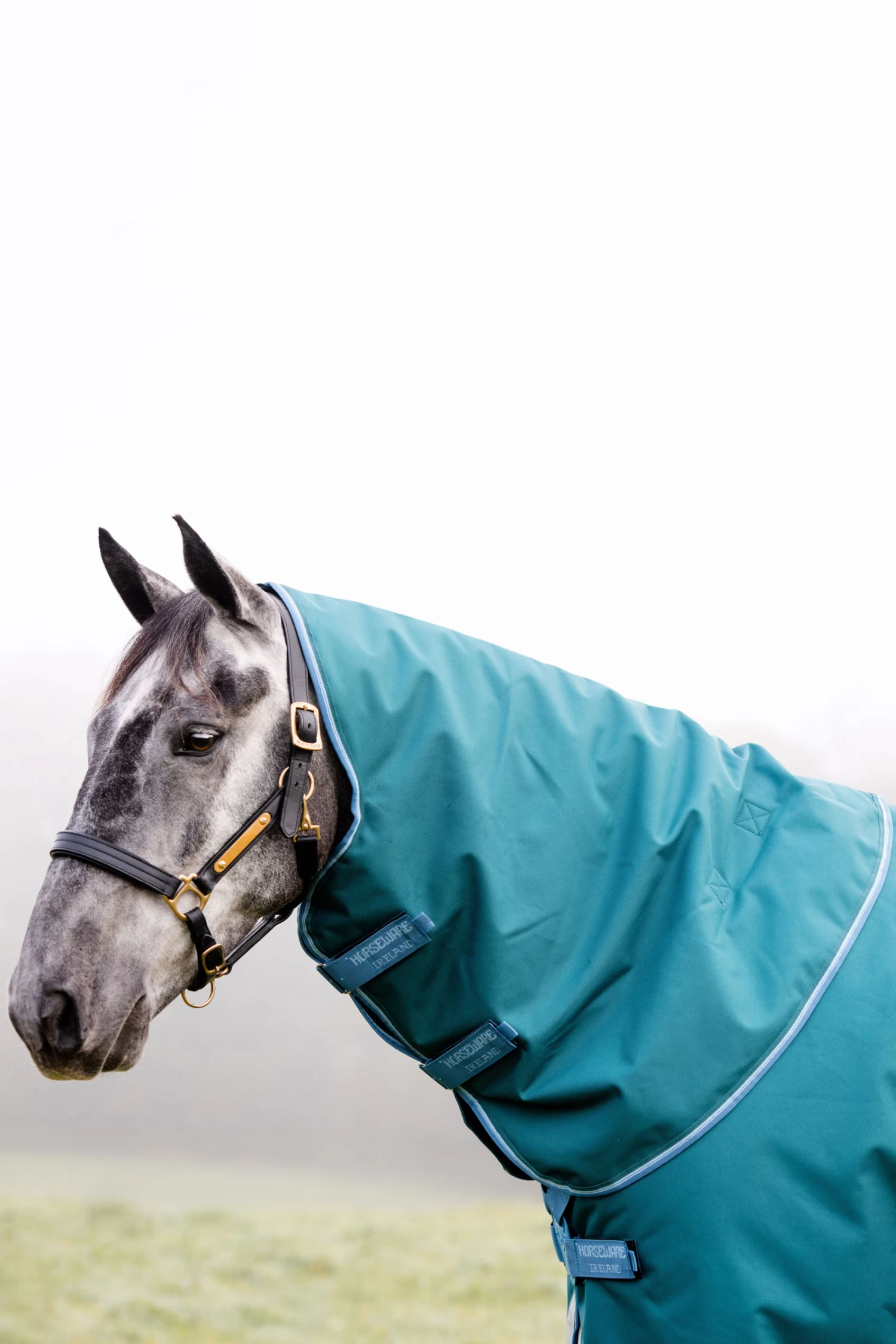 Horseware Amigo Bravo 12 Plus Turnout Rug With Detachable Neck, 100g - Image 5