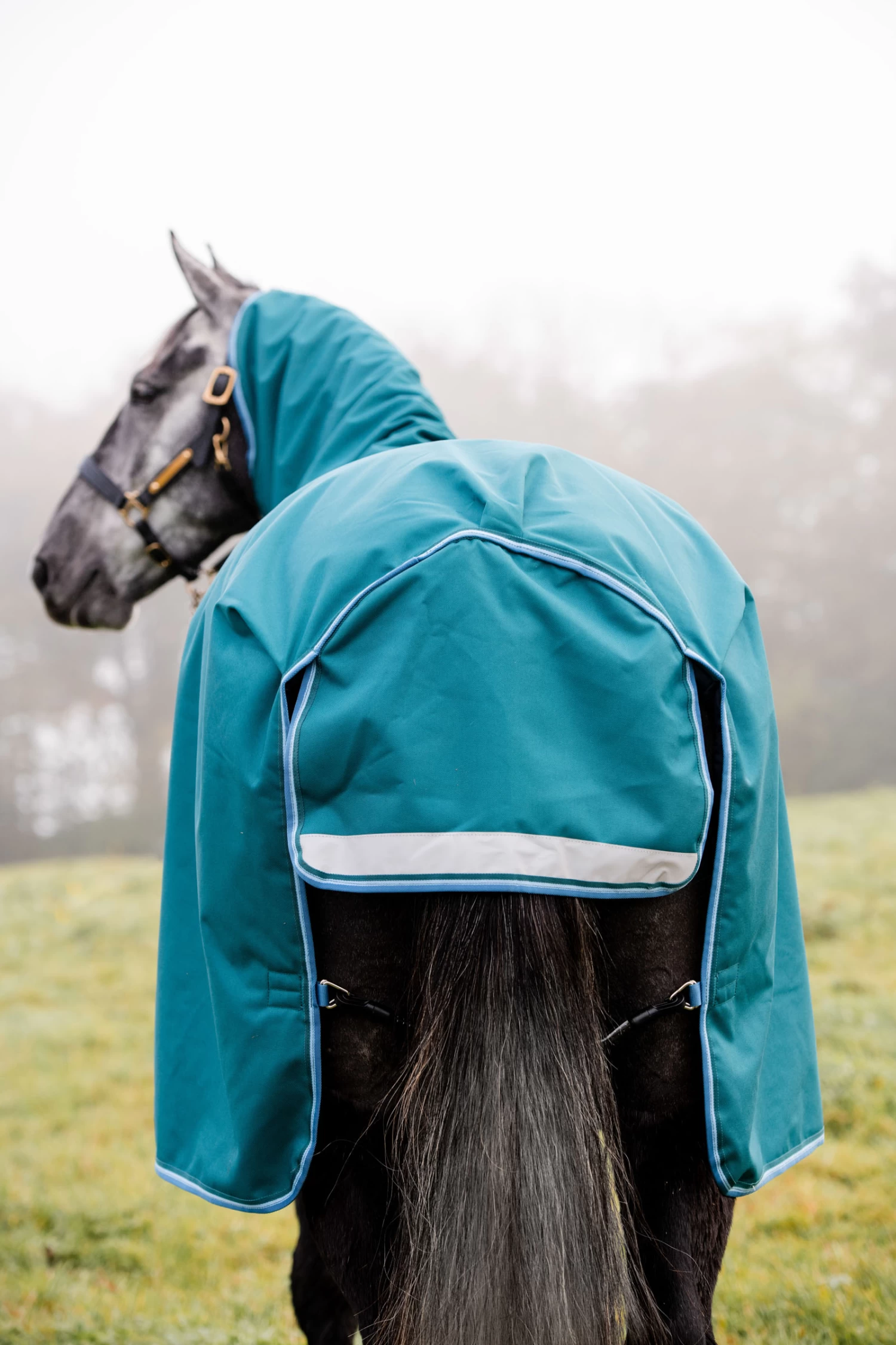 Horseware Amigo Bravo 12 Plus Turnout Rug With Detachable Neck, 100g - Image 9