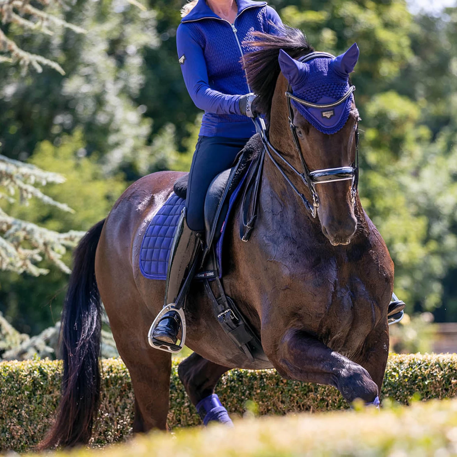 LeMieux Loire Satin Fly Hood - Image 12