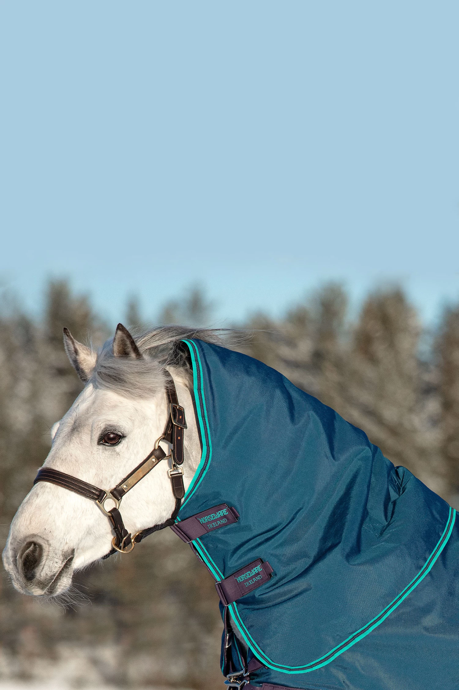 Horseware Rhino Turnout Hood, 0g - Image 2