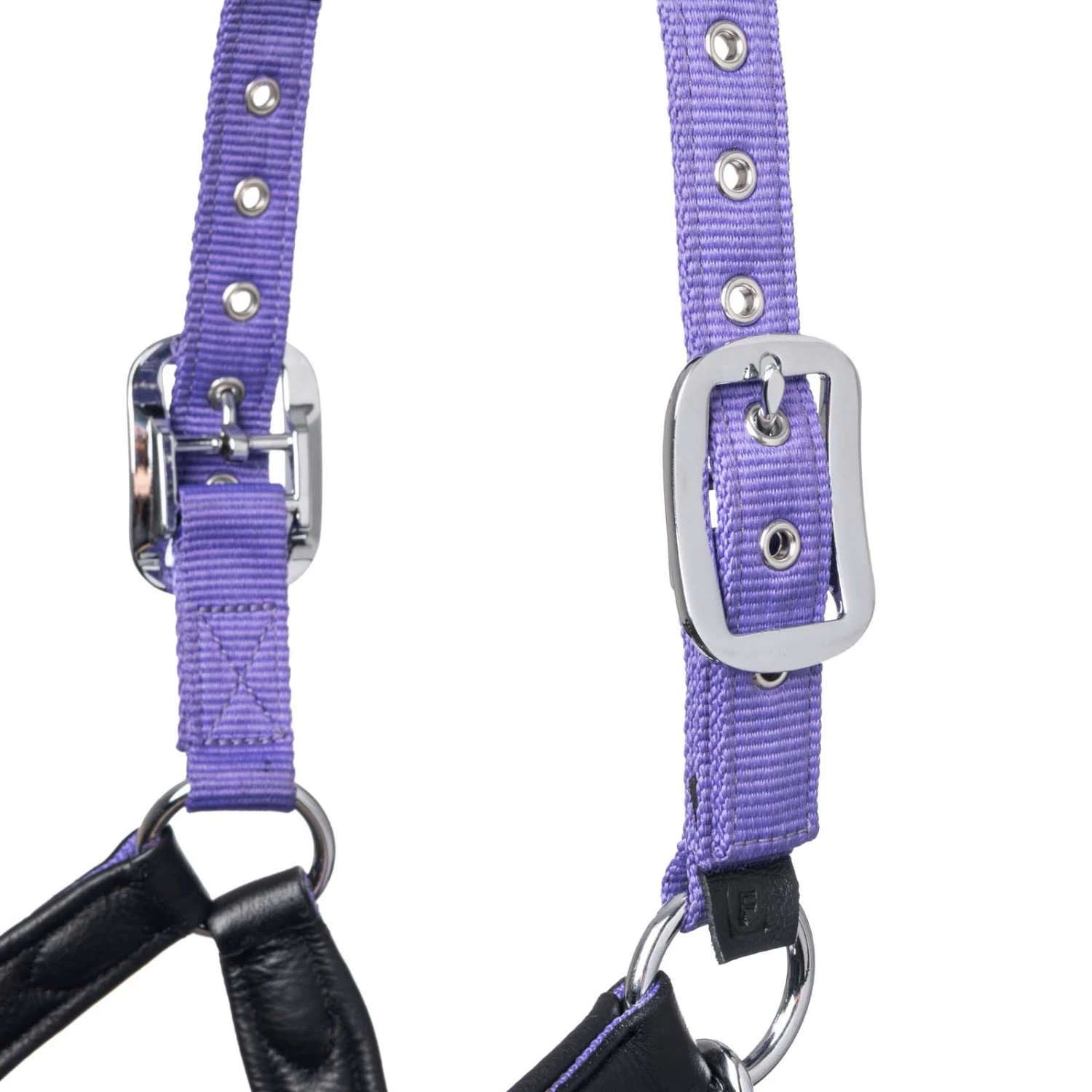 Lemieux Capella Head Collars - Image 12