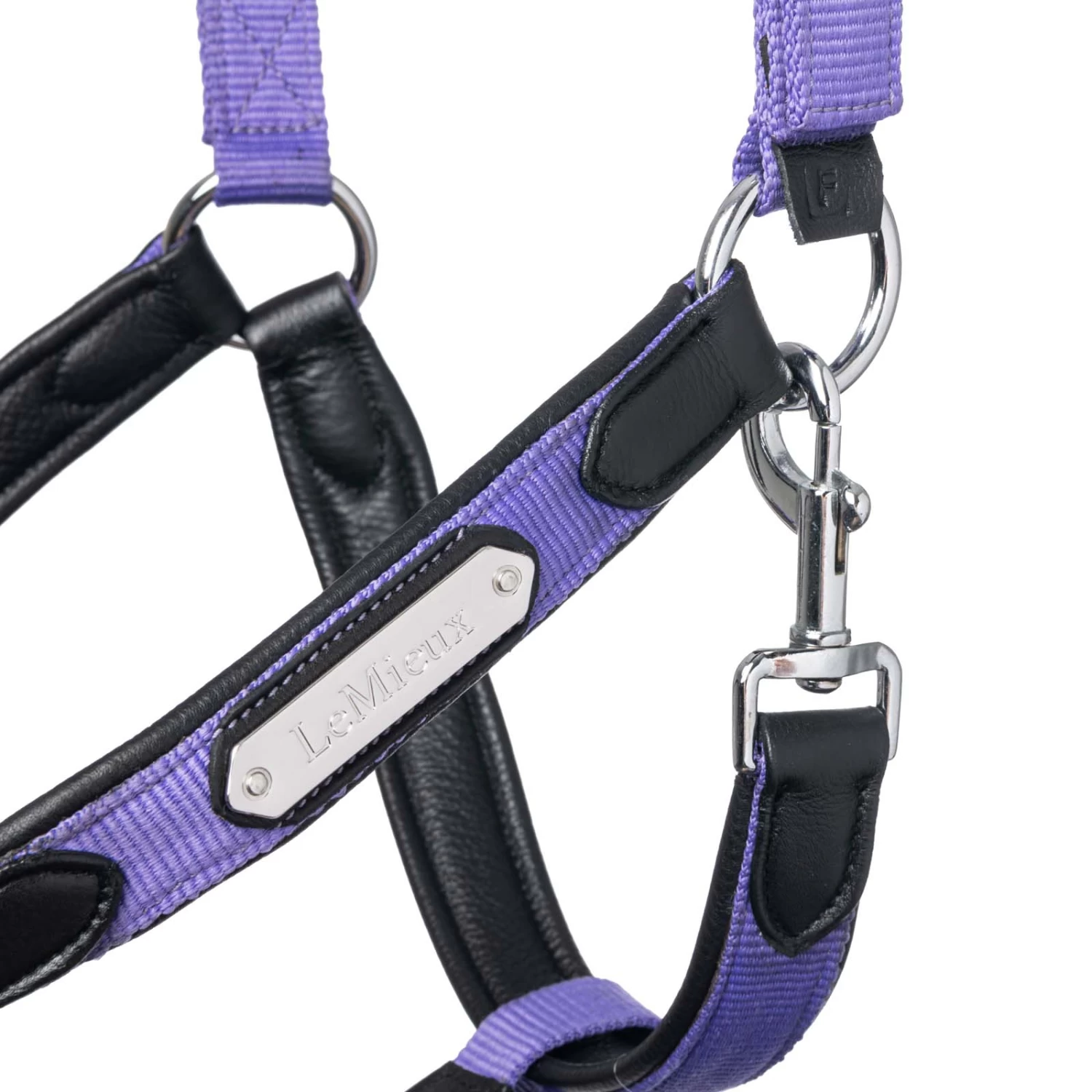 Lemieux Capella Head Collars - Image 13